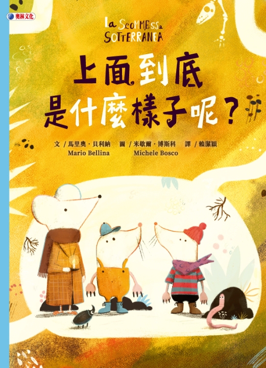 上面到底是什麼樣子呢？